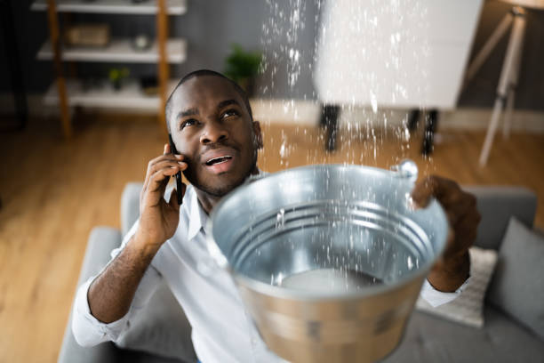 Best Sewage cleanup and water damage restoration  in Hoopers Creek, NC