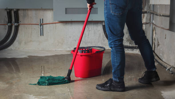 Best Commercial water damage restoration  in Hoopers Creek, NC