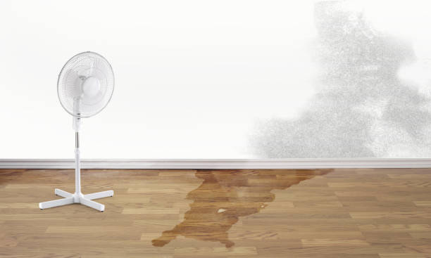 Best Carpet water damage restoration  in Hoopers Creek, NC