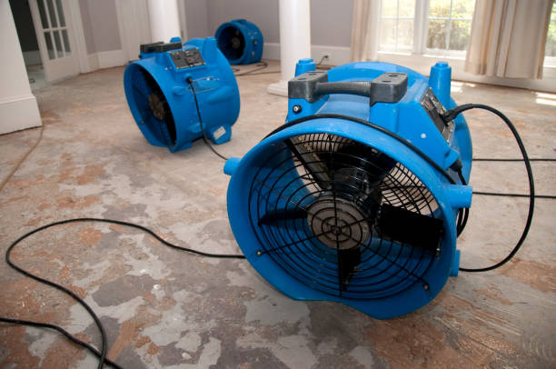 Best Flooded house restoration  in Hoopers Creek, NC