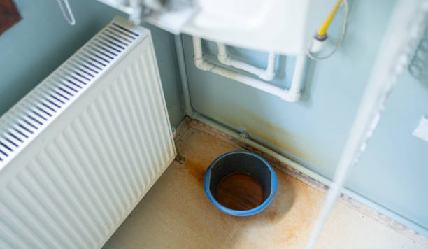 Best Flooded house restoration  in Hoopers Creek, NC