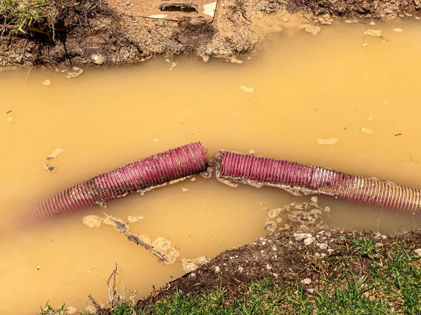 Carpet water damage restoration in Hoopers Creek, NC