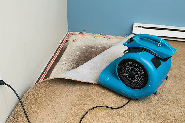 Best Fire Damage Restoration  in Hoopers Creek, NC
